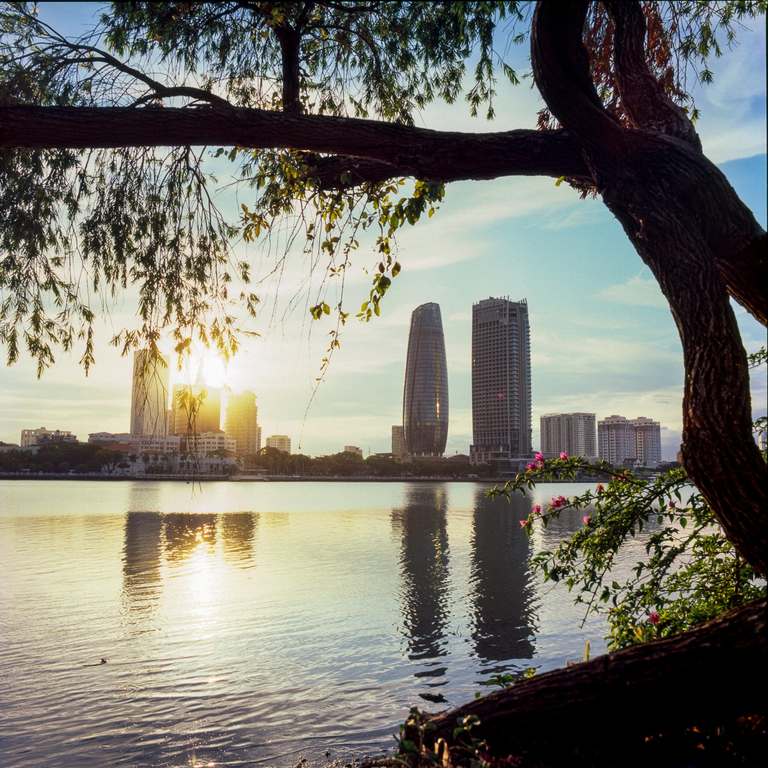 Scenic riverside view with modern skyscrapers at sunset, framed by a tree.