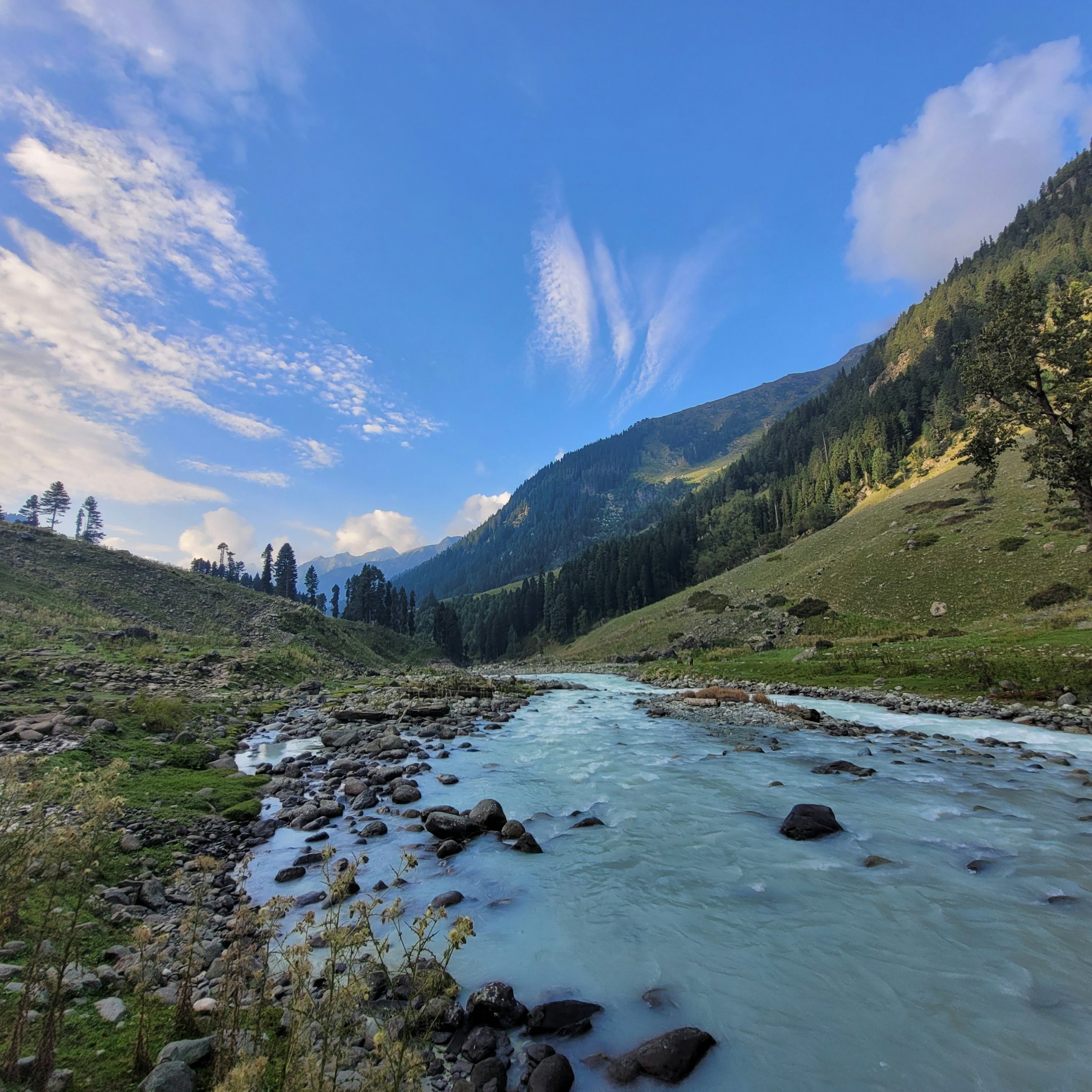 ankur-khandelwal-Wz64-jpSnow-unsplash