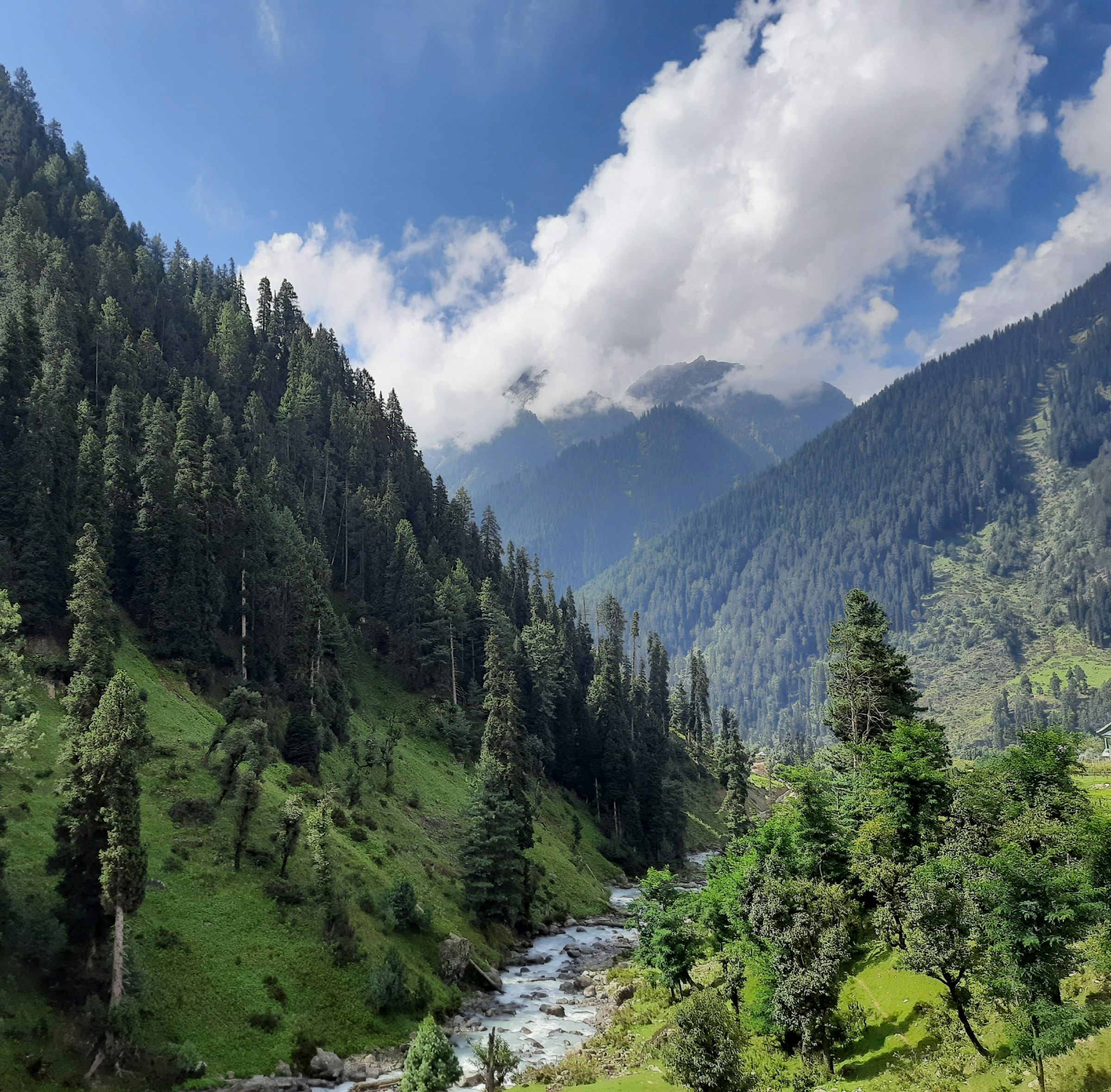 tawseem-hakak-cgv_5zkc9Fc-unsplash